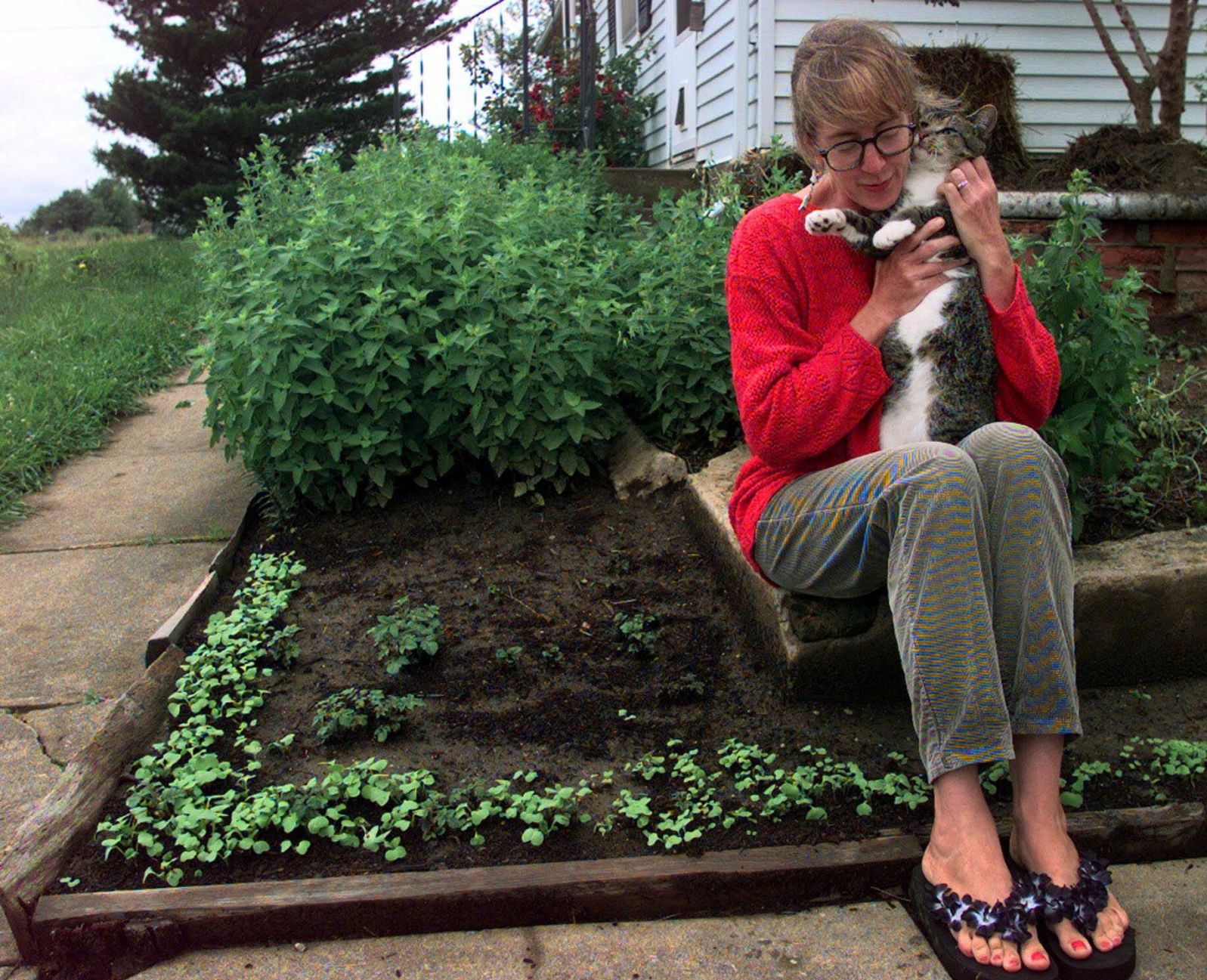 Catnip
